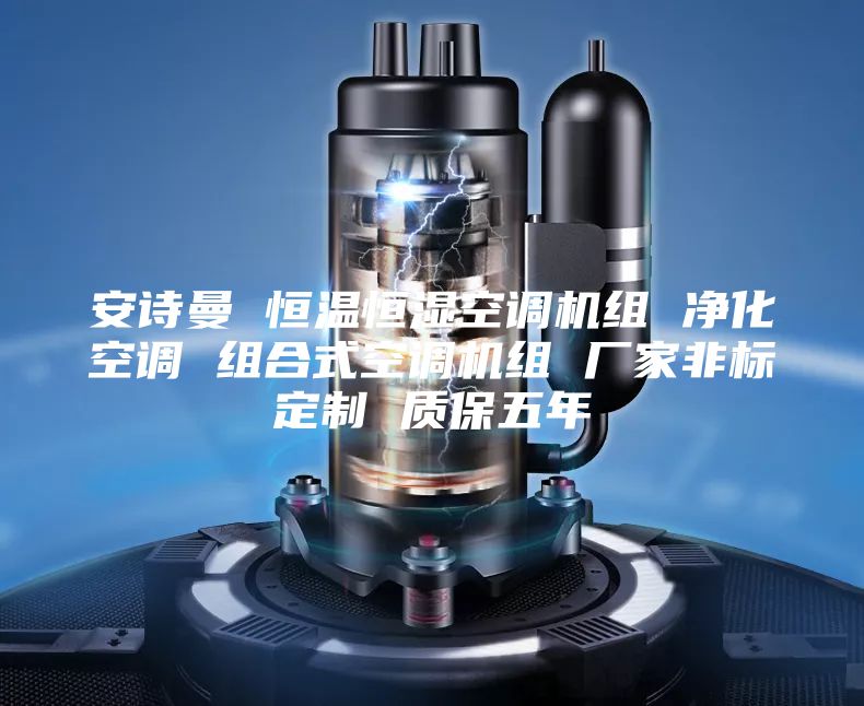 安诗曼 恒温恒湿空调机组 净化空调 组合式空调机组 厂家非标定制 质保五年