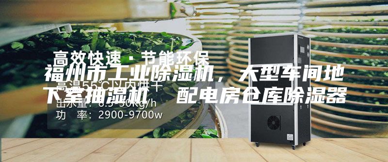 福州市工业除湿机，大型车间地下室抽湿机  配电房仓库除湿器