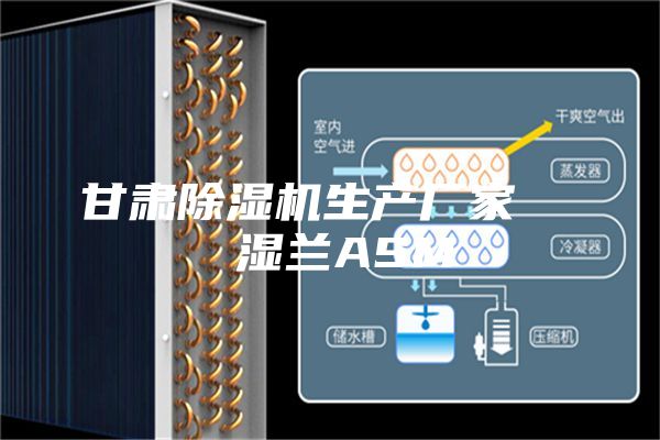 甘肃除湿机生产厂家   湿兰ASM