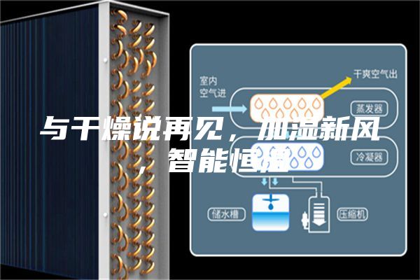 与干燥说再见，加湿新风，智能恒湿