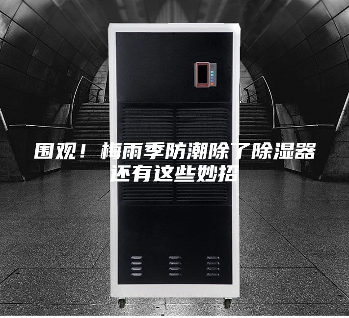 围观！梅雨季防潮除了除湿器还有这些妙招