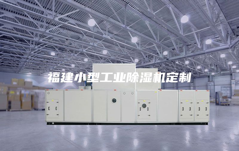 福建小型工业除湿机定制