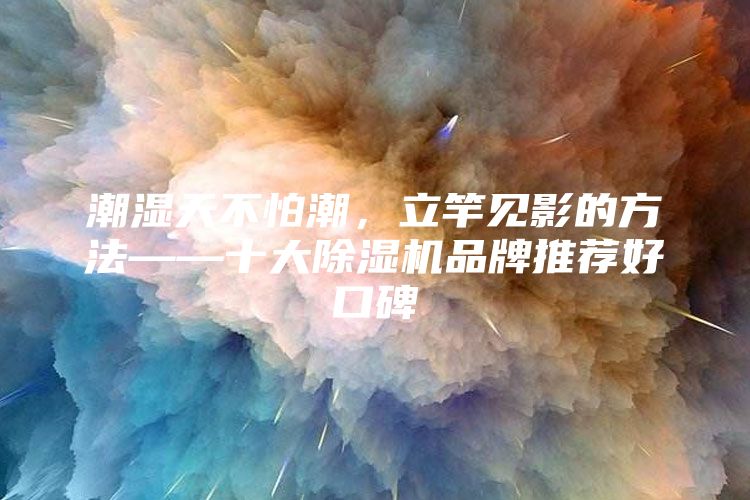 潮湿天不怕潮，立竿见影的方法——十大除湿机品牌推荐好口碑