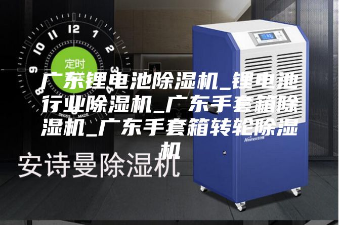 广东锂电池除湿机_锂电池行业除湿机_广东手套箱除湿机_广东手套箱转轮除湿机