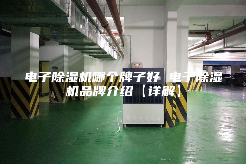 电子除湿机哪个牌子好 电子除湿机品牌介绍【详解】