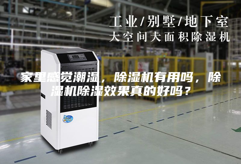 家里感觉潮湿，除湿机有用吗，除湿机除湿效果真的好吗？