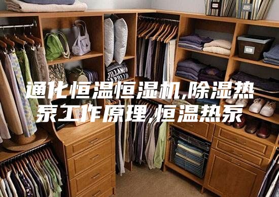 通化恒温恒湿机,除湿热泵工作原理,恒温热泵