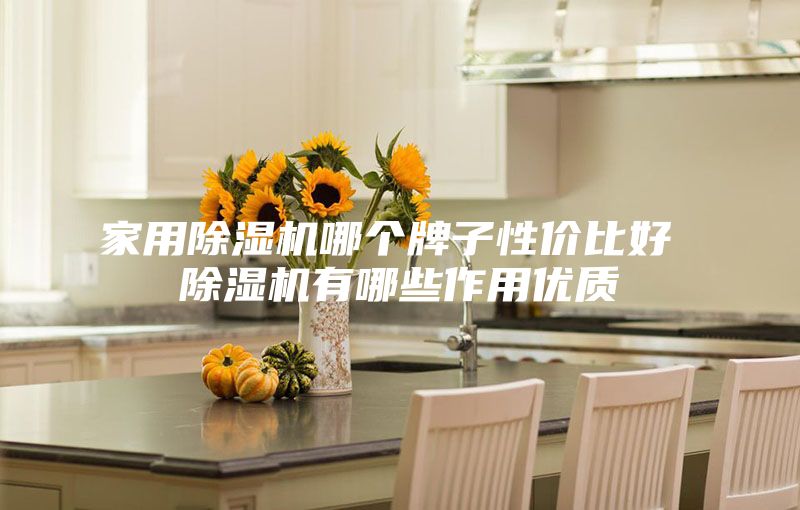 家用除湿机哪个牌子性价比好 除湿机有哪些作用优质