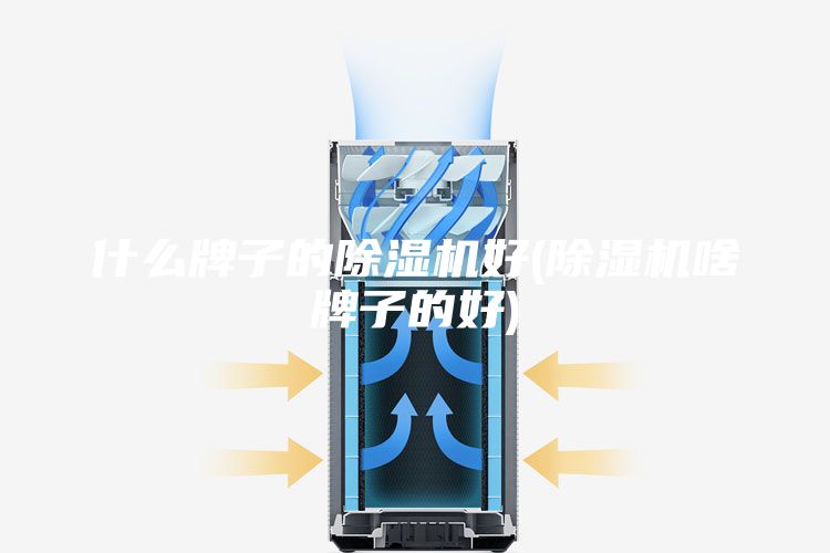 什么牌子的除湿机好(除湿机啥牌子的好)