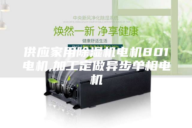 供应家用除湿机电机801电机,加工定做异步单相电机