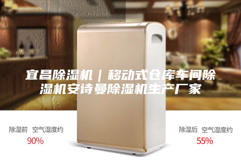 宜昌除湿机｜移动式仓库车间除湿机安诗曼除湿机生产厂家