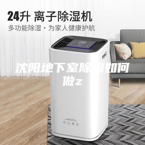 沈阳地下室除湿如何做z