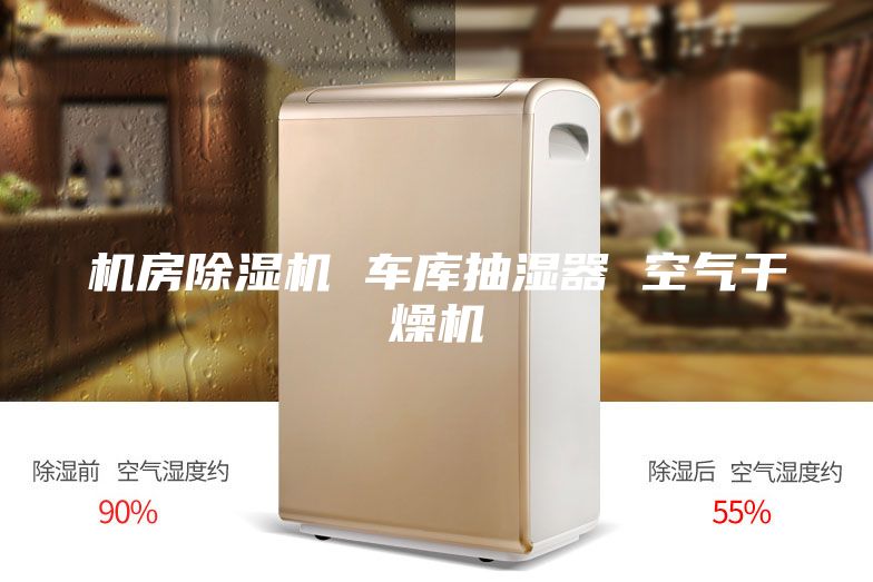 机房除湿机 车库抽湿器 空气干燥机