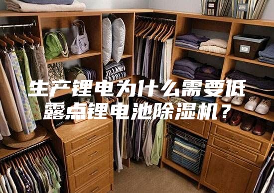 生产锂电为什么需要低露点锂电池除湿机？