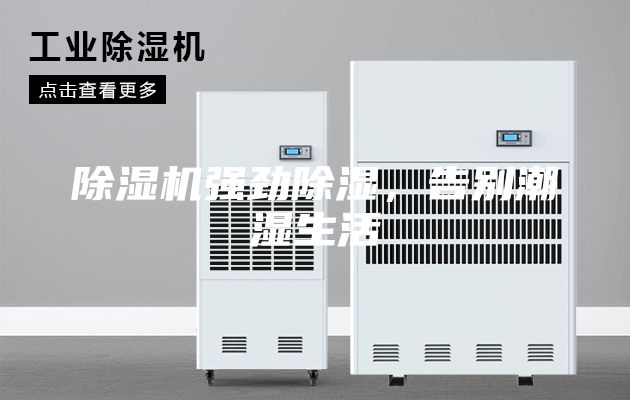 除湿机强劲除湿，告别潮湿生活