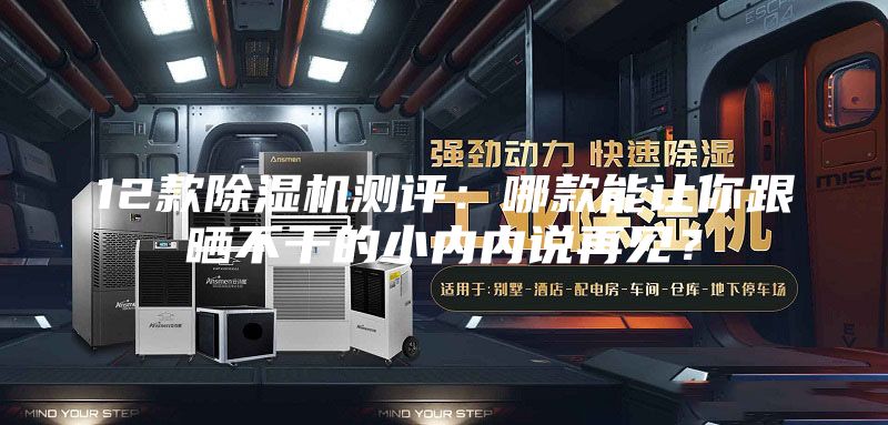 12款除湿机测评：哪款能让你跟晒不干的小内内说再见？