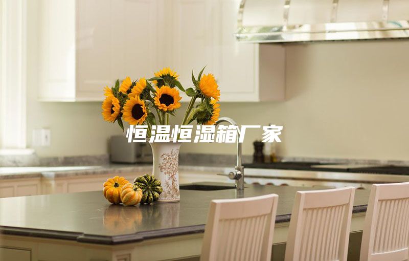 恒温恒湿箱厂家