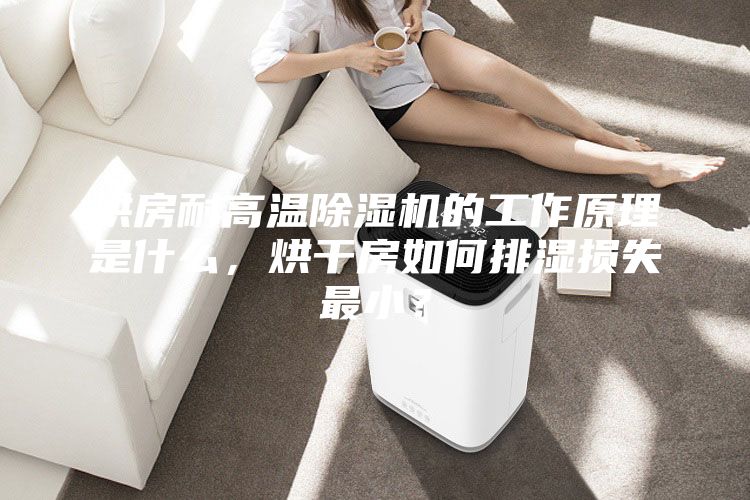 烘房耐高温除湿机的工作原理是什么，烘干房如何排湿损失最小？