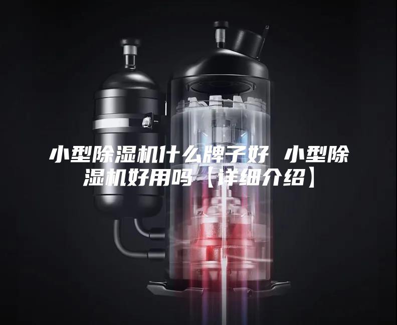 小型除湿机什么牌子好 小型除湿机好用吗【详细介绍】