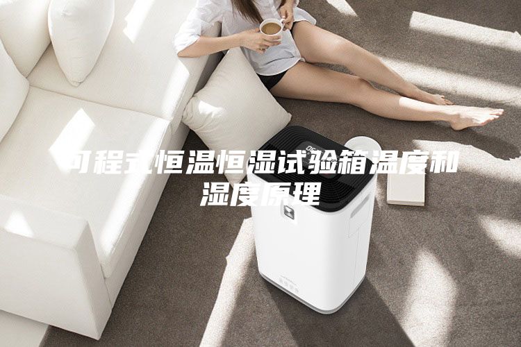 可程式恒温恒湿试验箱温度和湿度原理