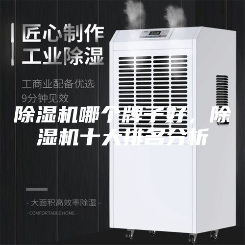 除湿机哪个牌子好，除湿机十大排名分析