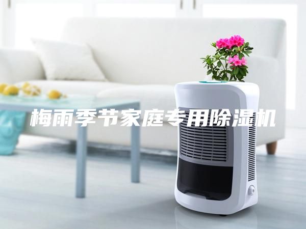 梅雨季节家庭专用除湿机