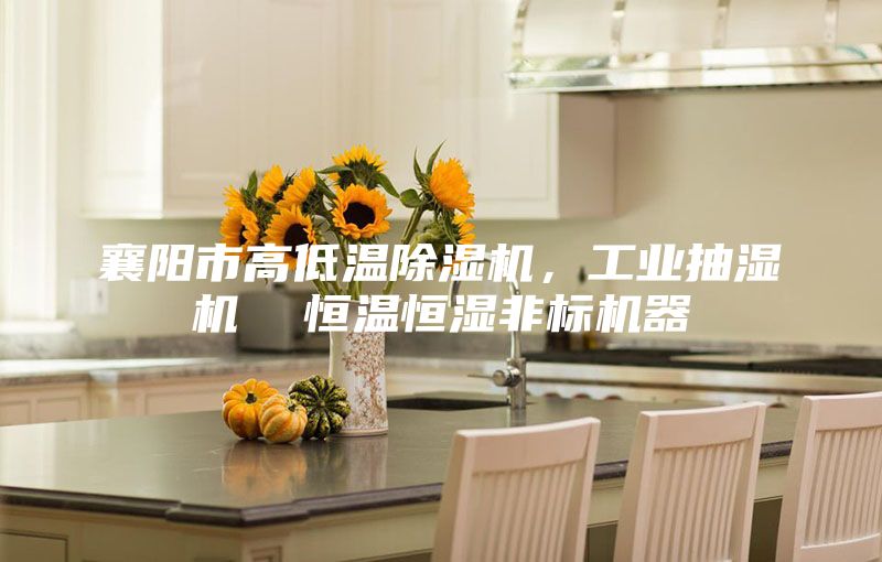 襄阳市高低温除湿机，工业抽湿机  恒温恒湿非标机器