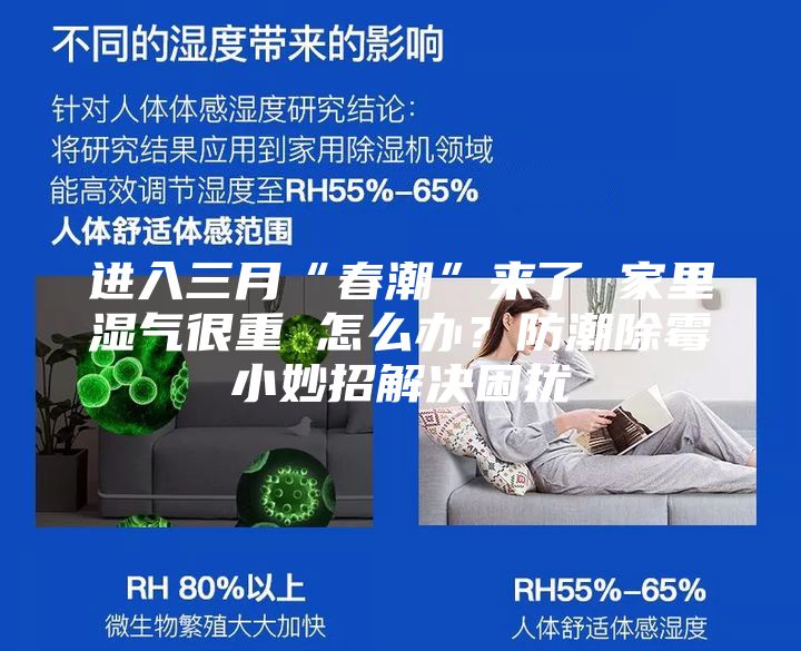 进入三月“春潮”来了 家里湿气很重 怎么办？防潮除霉小妙招解决困扰