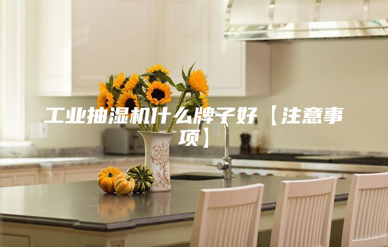 工业抽湿机什么牌子好【注意事项】