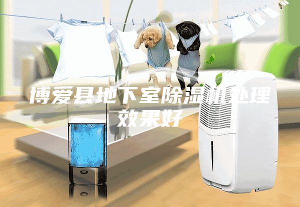 博爱县地下室除湿机处理效果好