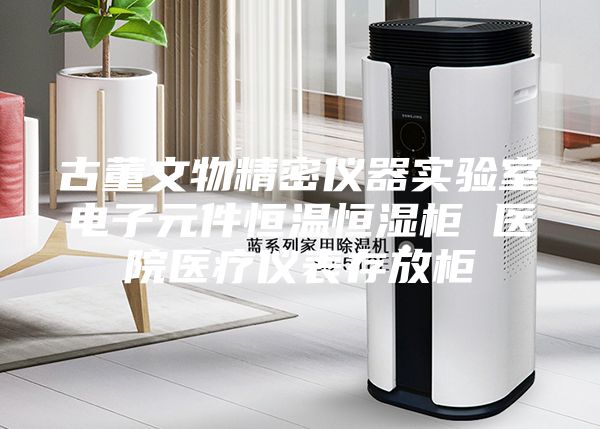 古董文物精密仪器实验室电子元件恒温恒湿柜 医院医疗仪表存放柜