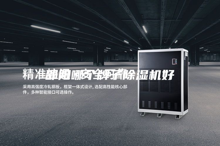邵阳哪个牌子除湿机好