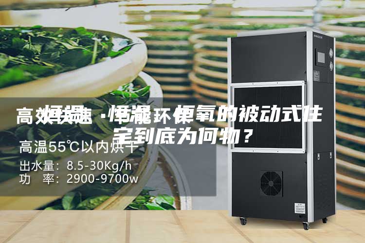 恒温、恒湿、恒氧的被动式住宅到底为何物？