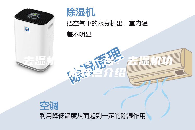 去湿机多少钱一台？去湿机功能特点介绍
