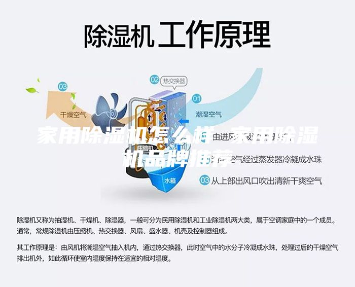 家用除湿机怎么样 家用除湿机品牌推荐
