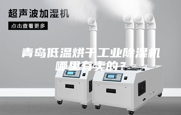 青岛低温烘干工业除湿机哪里有卖的？