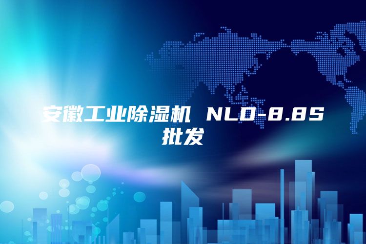 安徽工业除湿机 NLD-8.8S批发