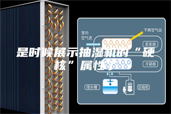 是时候展示抽湿机的“硬核”属性了