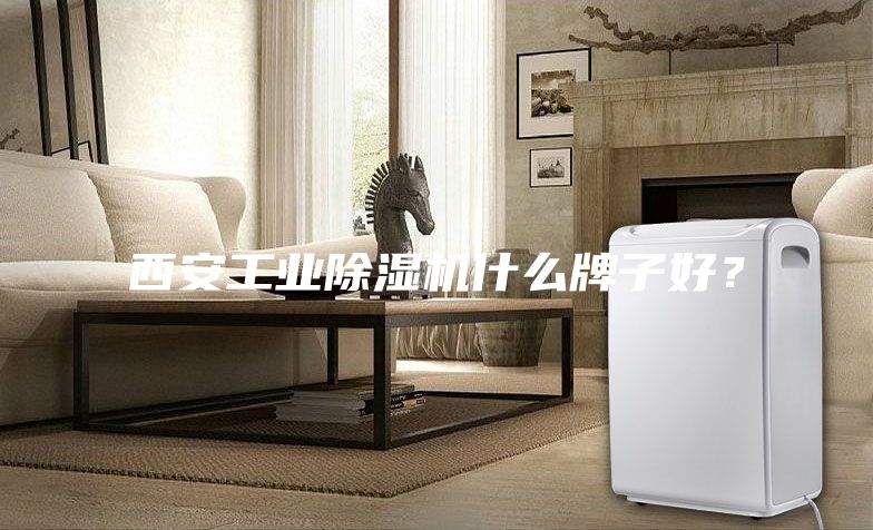 西安工业除湿机什么牌子好？