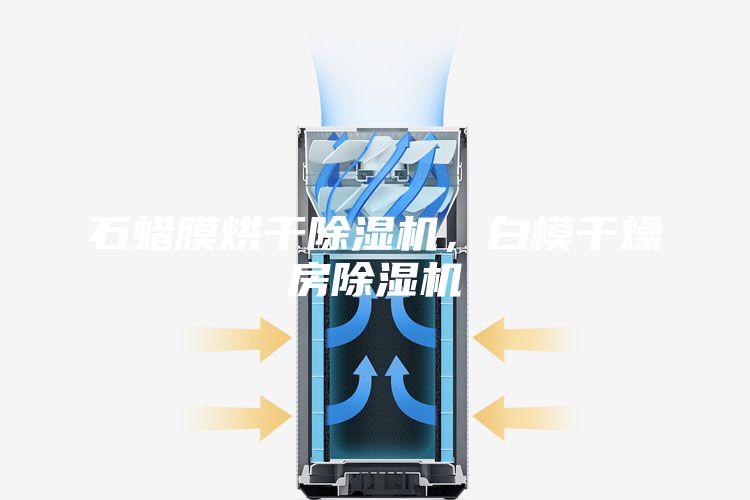 石蜡膜烘干除湿机，白模干燥房除湿机