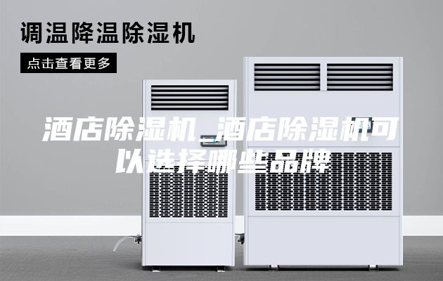 酒店除湿机_酒店除湿机可以选择哪些品牌