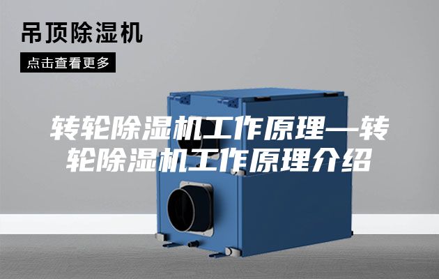 转轮除湿机工作原理—转轮除湿机工作原理介绍