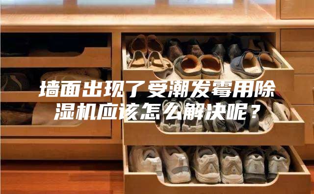 墙面出现了受潮发霉用除湿机应该怎么解决呢？