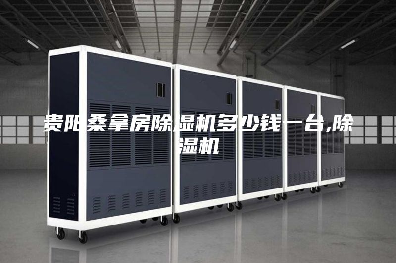 贵阳桑拿房除湿机多少钱一台,除湿机