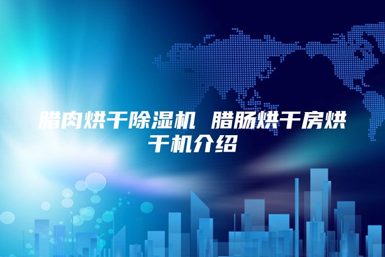腊肉烘干除湿机 腊肠烘干房烘干机介绍