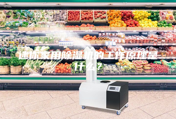 迷你家用除湿机的工作原理是什么？