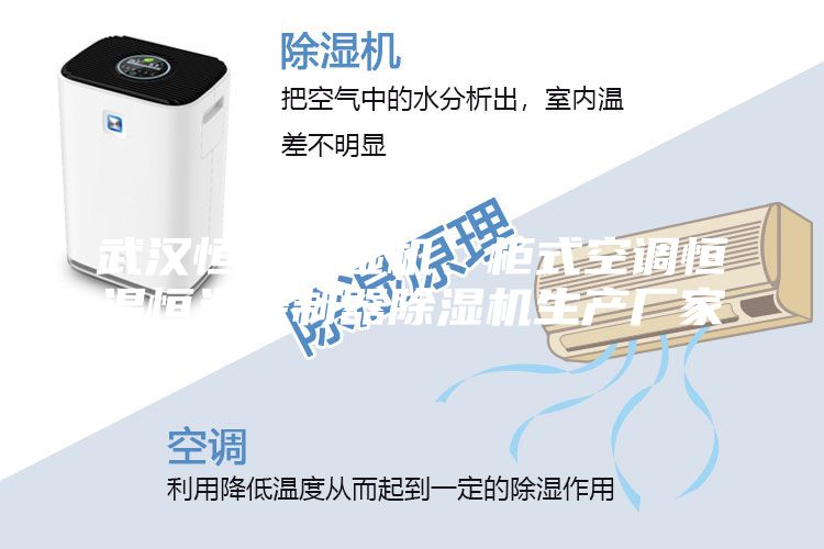 武汉恒温恒湿机、柜式空调恒温恒温控制器除湿机生产厂家