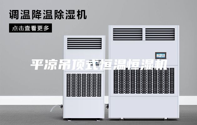 平凉吊顶式恒温恒湿机
