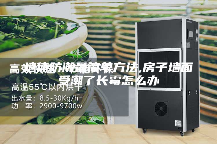 墙体防潮最简单方法,房子墙面受潮了长霉怎么办