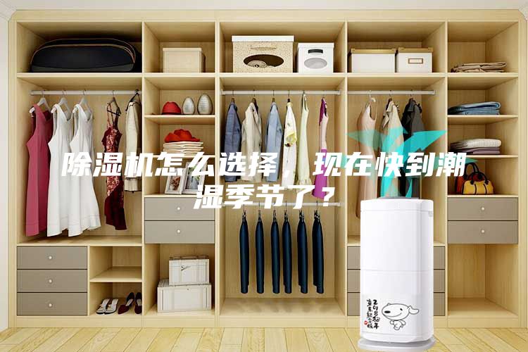 除湿机怎么选择，现在快到潮湿季节了？